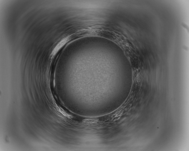 X0000097290051200802151425