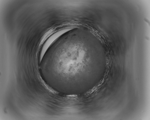 X0000097290053200802151425