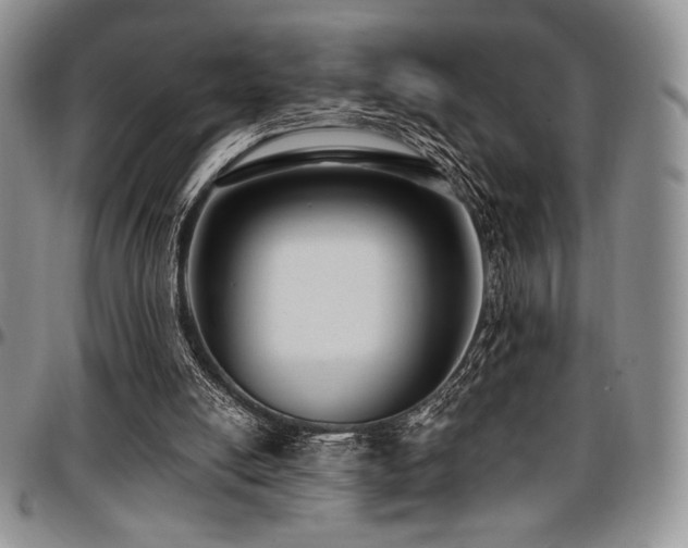 X0000097290054200802151425