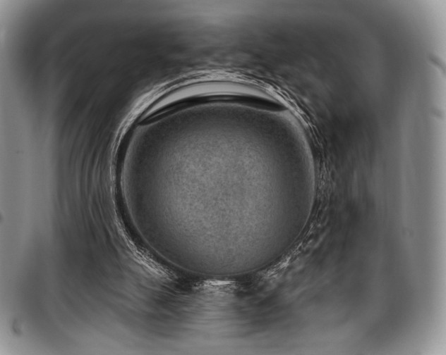 X0000097290055200802151425