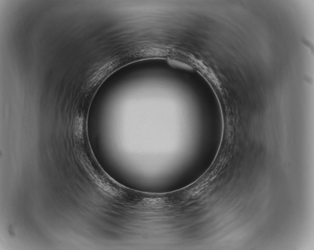 X0000097290057200802151425