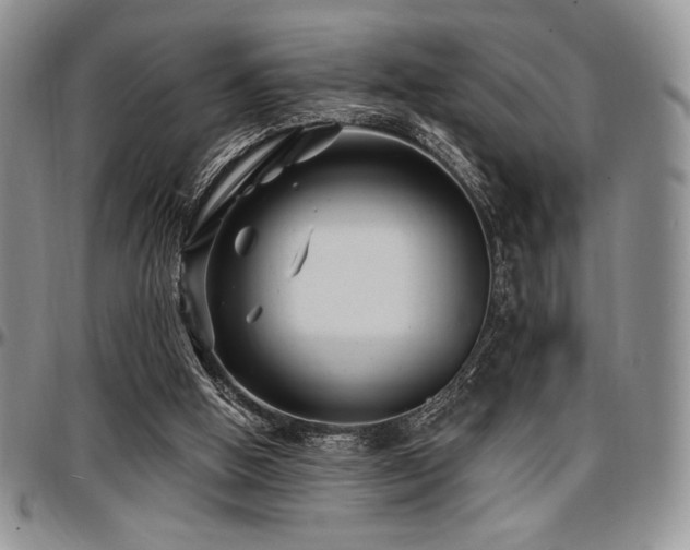 X0000097290058200802151425