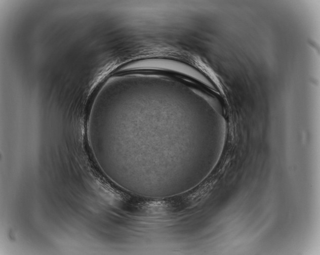 X0000097290059200802151425