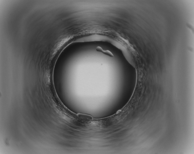 X0000097290060200802151425