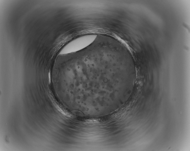 X0000097290061200802151425