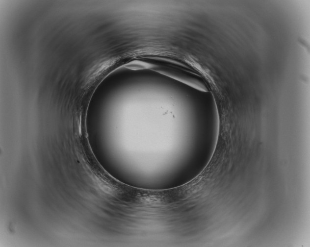 X0000097290062200802151425