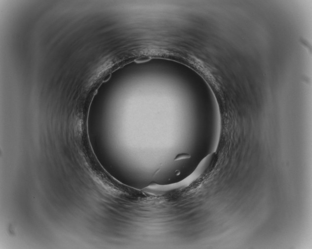X0000097290063200802151425