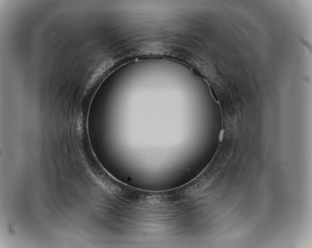 X0000097290064200802151425