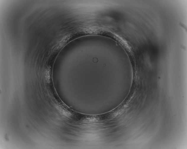 X0000097290065200802151425