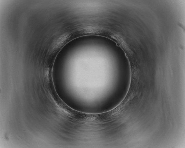 X0000097290066200802151425