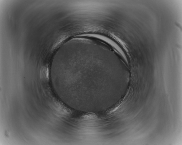 X0000097290067200802151425