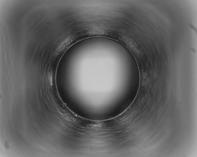 X0000097290068200802151425