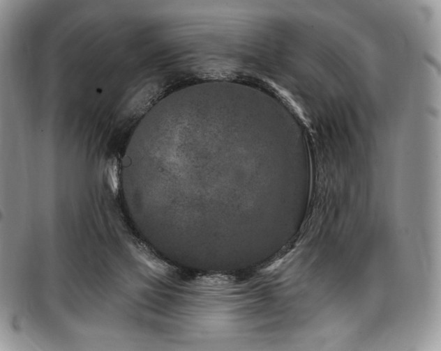 X0000097290069200802151425