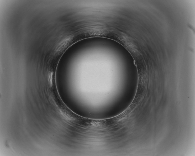 X0000097290070200802151425