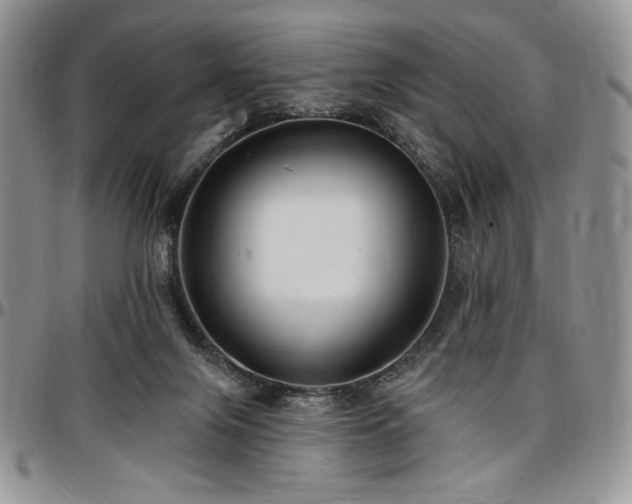X0000097290071200802151425