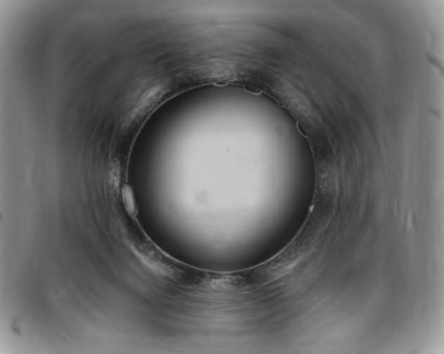 X0000097290072200802151425