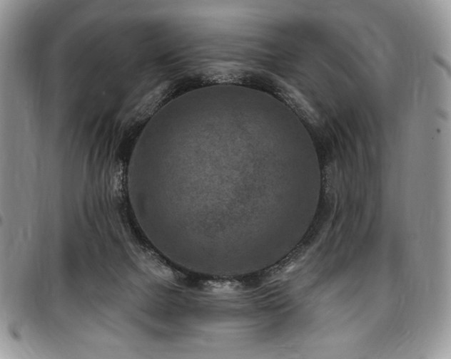 X0000097290073200802151425