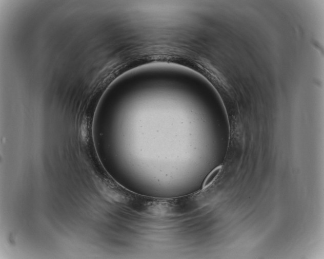 X0000097290074200802151425