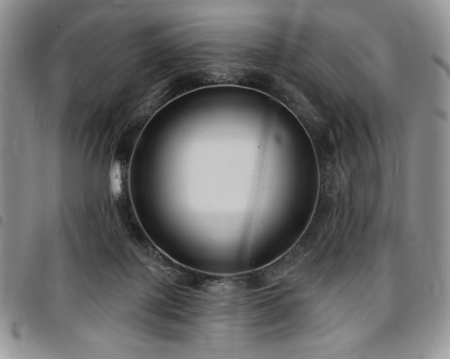 X0000097290075200802151425