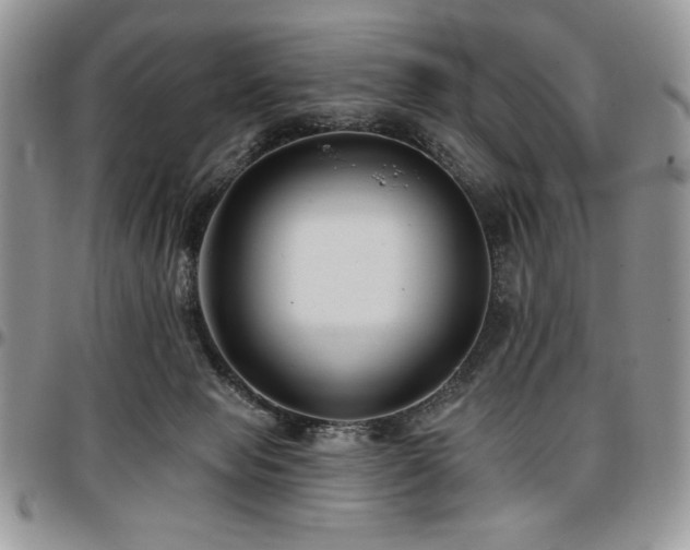 X0000097290077200802151425