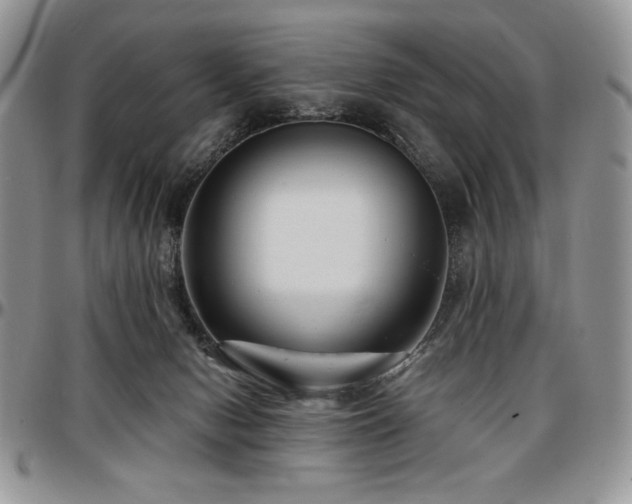 X0000097290078200802151425