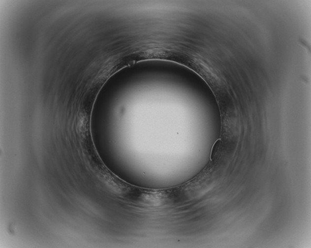 X0000097290079200802151425