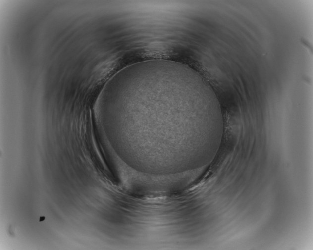 X0000097290080200802151425