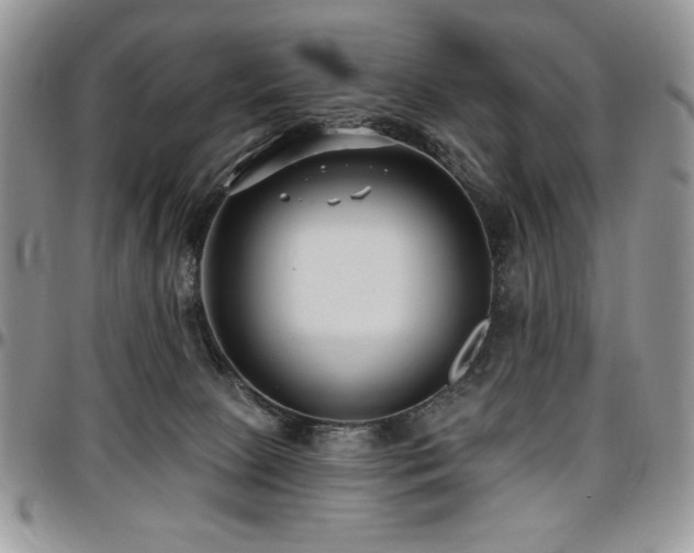 X0000097290081200802151425