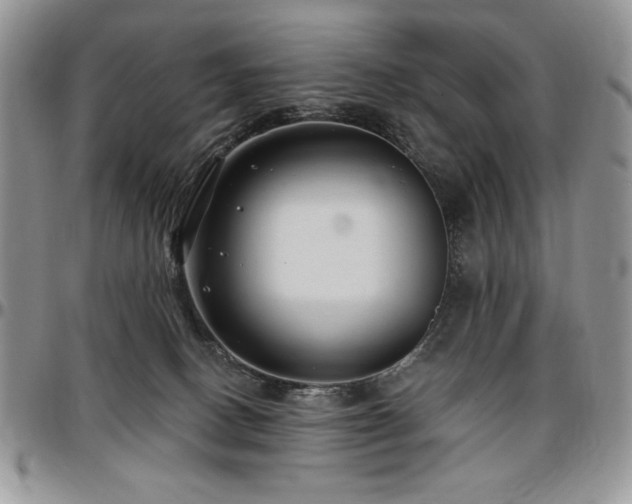 X0000097290082200802151425