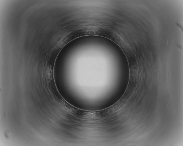X0000097290083200802151425