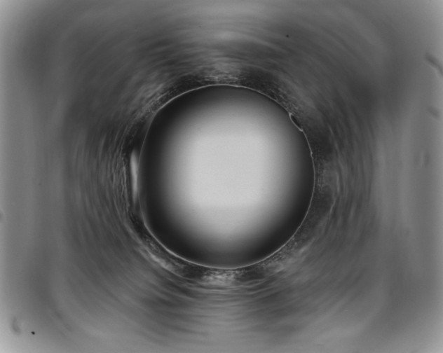 X0000097290084200802151425