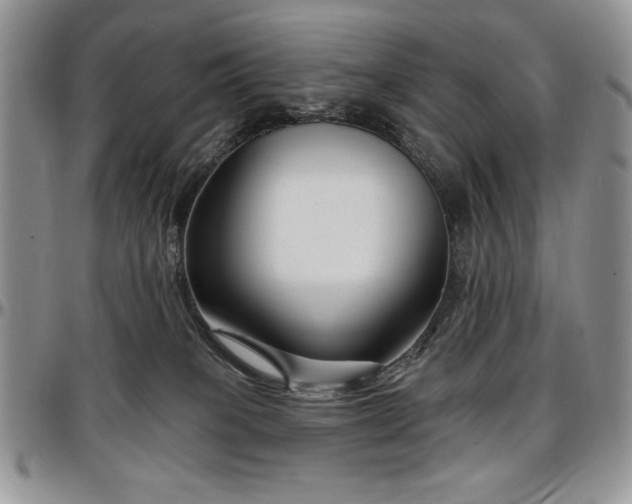 X0000097290085200802151425
