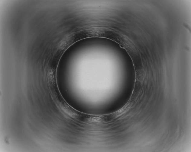 X0000097290086200802151425