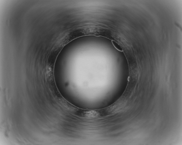 X0000097290087200802151425