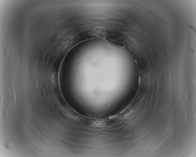 X0000097290088200802151425