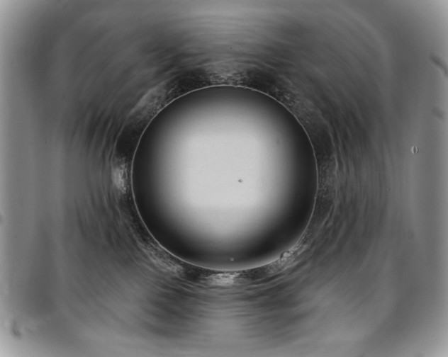 X0000097290090200802151425