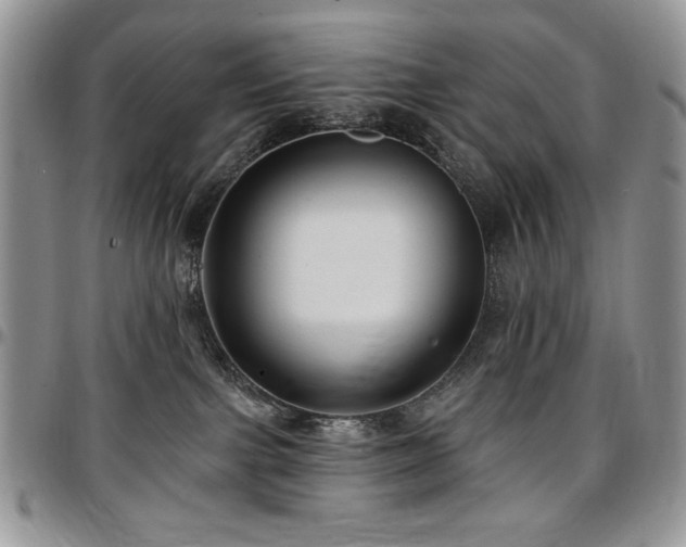 X0000097290091200802151425