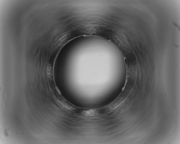 X0000097290092200802151425