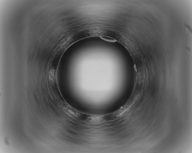 X0000097290093200802151425