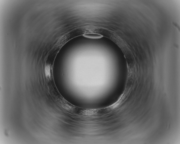 X0000097290094200802151425
