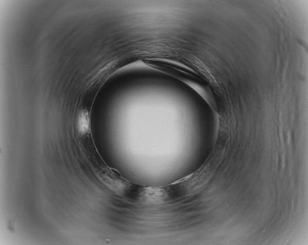 X0000097290095200802151425
