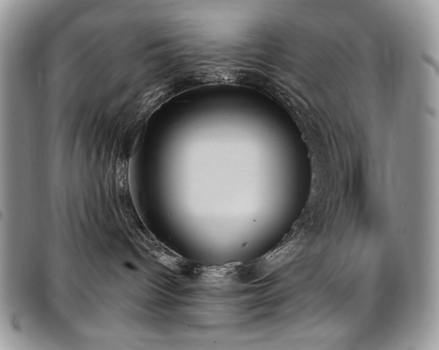 X0000097290096200802151425