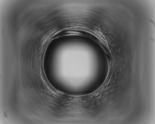 X0000097290097200802151425