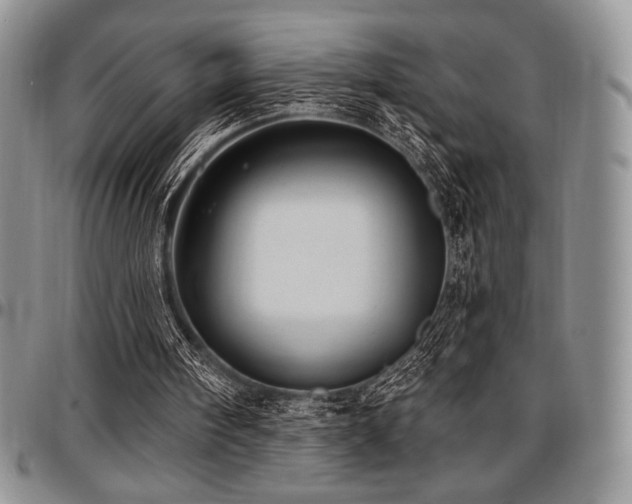X0000097290098200802151425