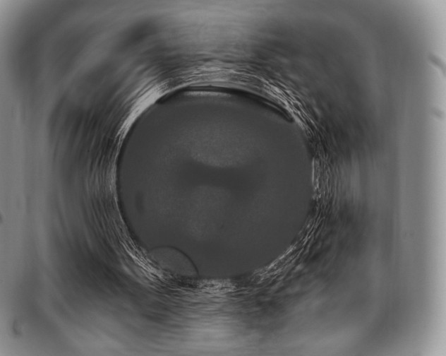 X0000097290099200802151425