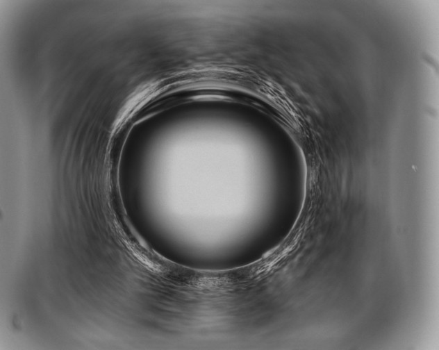 X0000097290101200802151425
