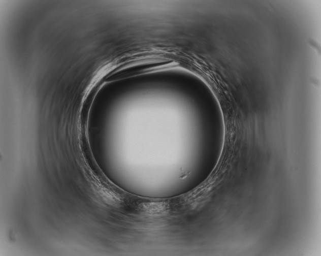 X0000097290102200802151425