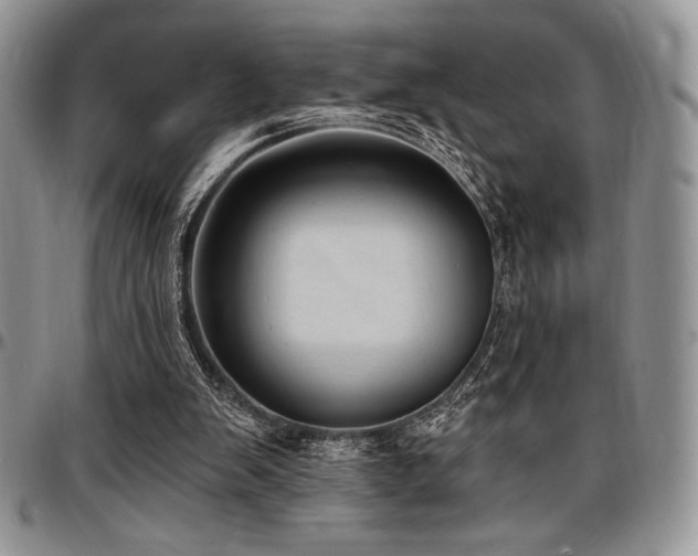 X0000097290103200802151425