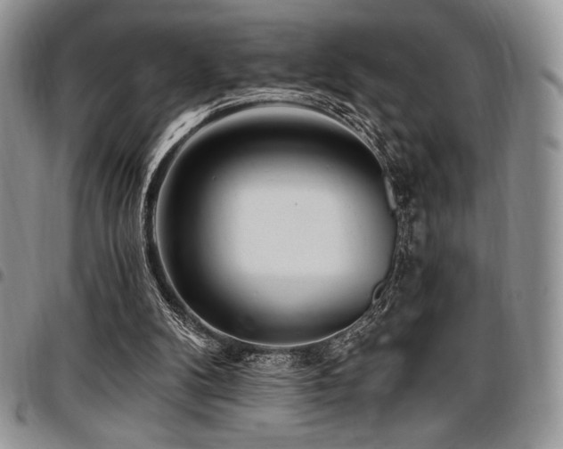 X0000097290104200802151425