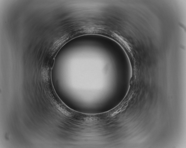 X0000097290105200802151425